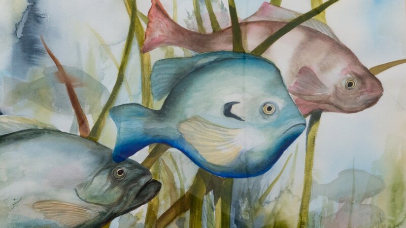 11th Annual Exhibit Something Fishy