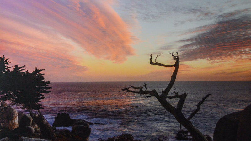 11th Annual Exhibit Faces