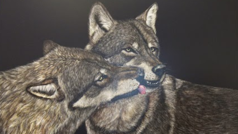 13th Annual Exhibit Timber Love