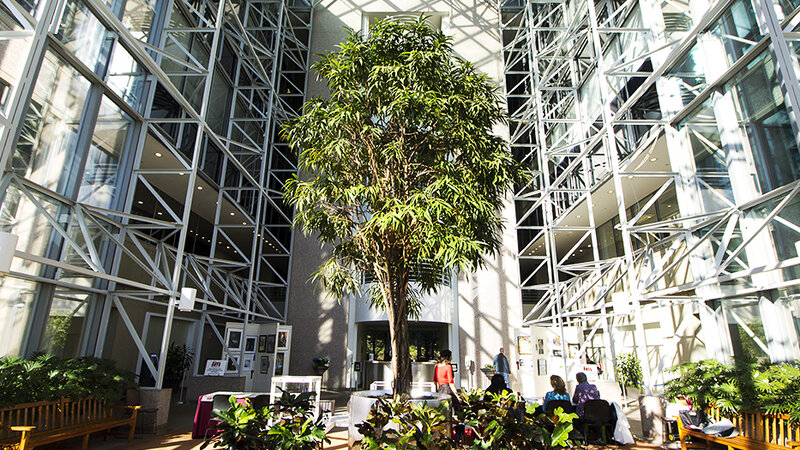 16th Annual Exhibit The beautiful atrium of the Elizabethtown Gas Co. featuring the Union County NAP Show