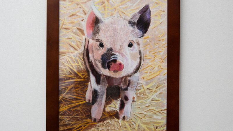 This Little Piggy