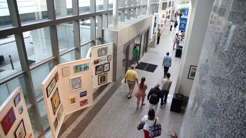 5th Annual Exhibit Carilion Roanoke Memorial Hospital Lobby prior to the awards reception.