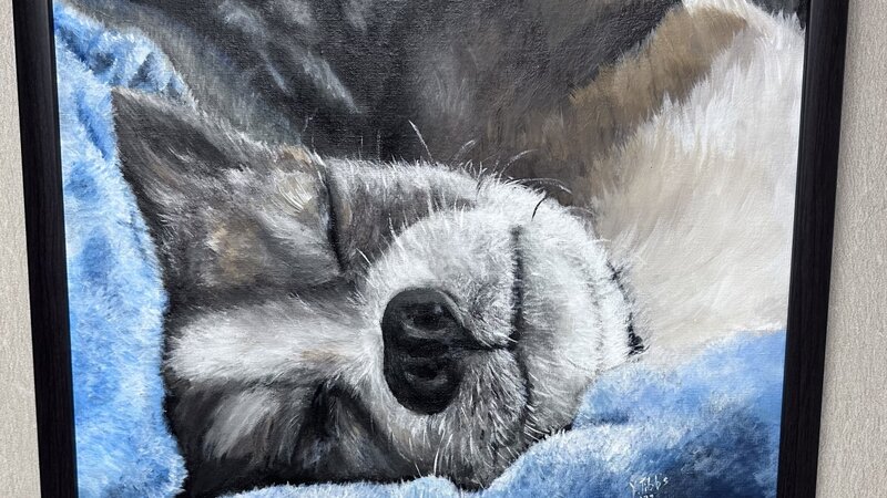 5th Annual Exhibit Please Do Not Disturb