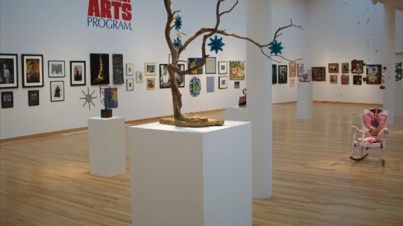 6th Annual Exhibit Side gallery view of 2008 NAP Exhibition