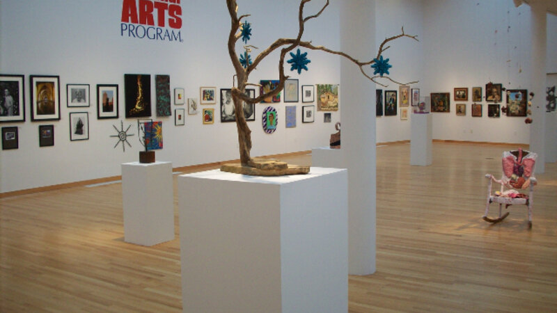 6th Annual Exhibit Side gallery view of 2008 NAP Exhibition