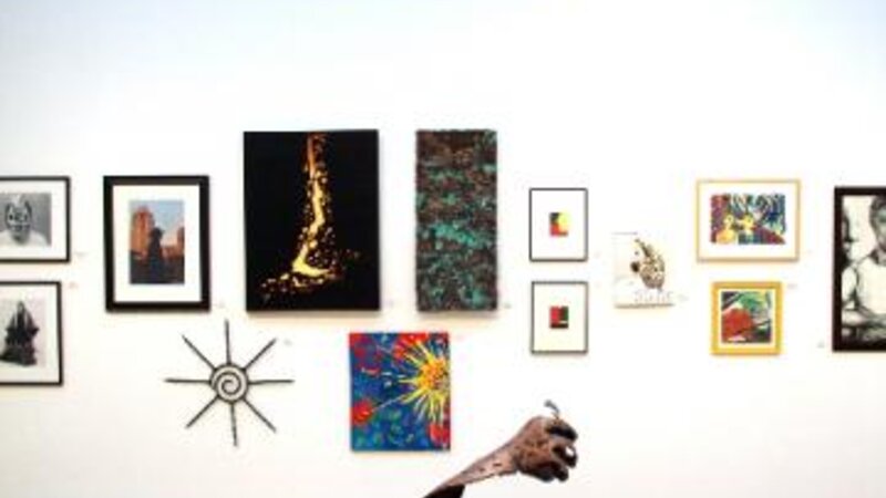 6th Annual Exhibit 2008 NAP Exhibition in Austin, TX