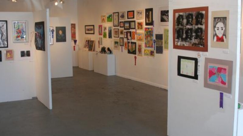 10th Annual Exhibit 2009 NAP Exhibition at the Arts Collinwood Gallery