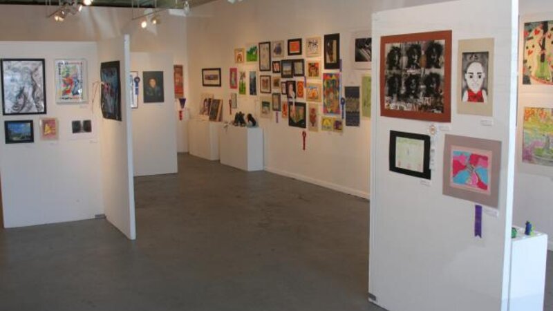 10th Annual Exhibit 2009 NAP Exhibition at the Arts Collinwood Gallery