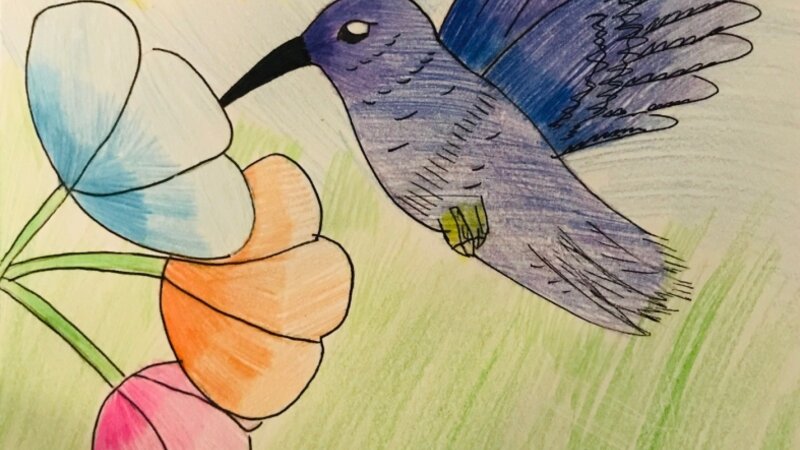 12th Annual Exhibit Midflight