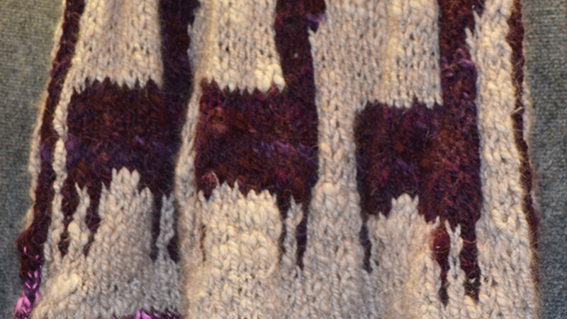 12th Annual Exhibit Alpacas on Parade