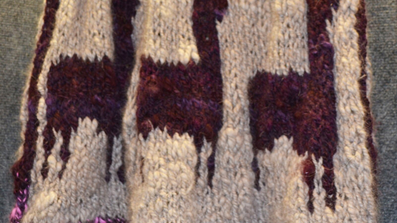 12th Annual Exhibit Alpacas on Parade