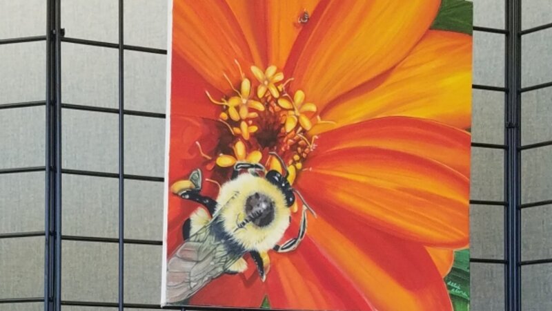 4th Annual Exhibit Natures Aviator