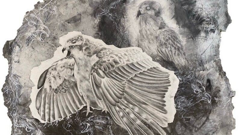 8th Annual Exhibit Get Rid Of