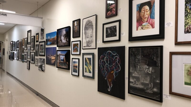 14th Annual Exhibit The largest show on record for UChicago filled the hospital hallways