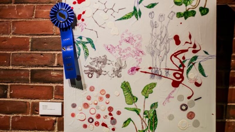 3rd Annual Exhibit Up and Down