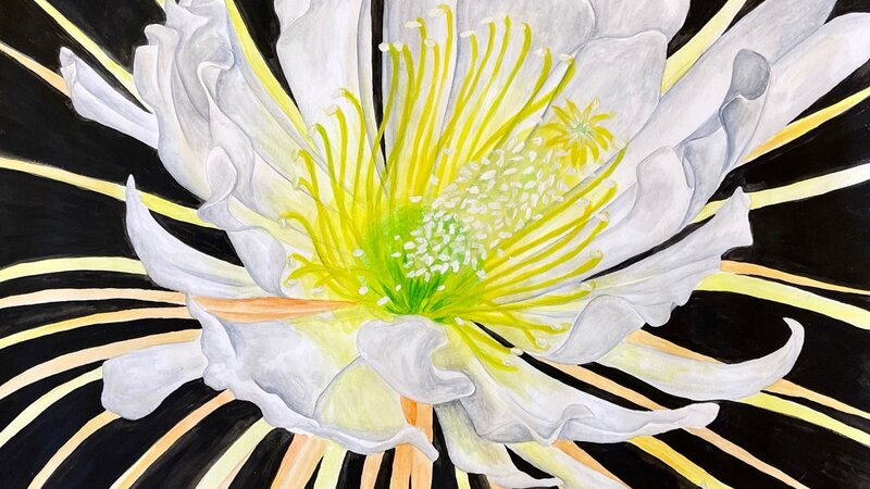 14th Annual Exhibit Night Blooming Cereus