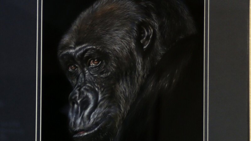 12th Annual Exhibit Kala