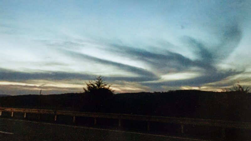 6th Annual Exhibit Morning Dove