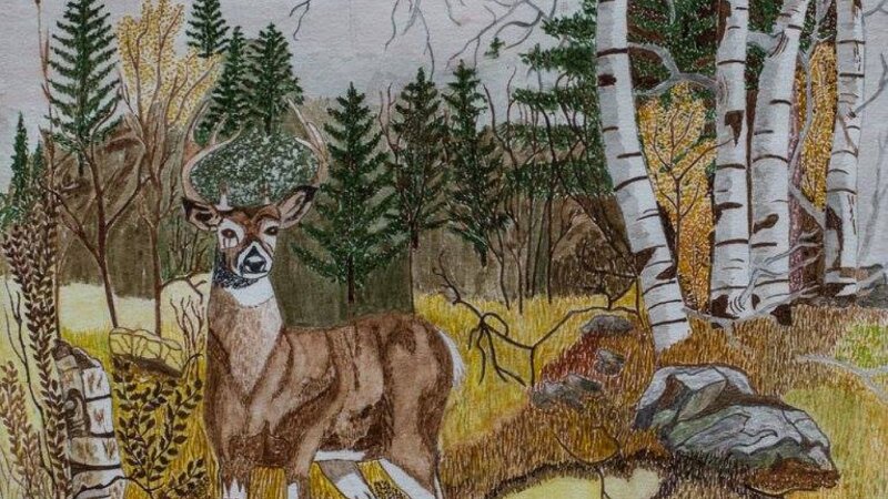 1st Annual Exhibit Nature