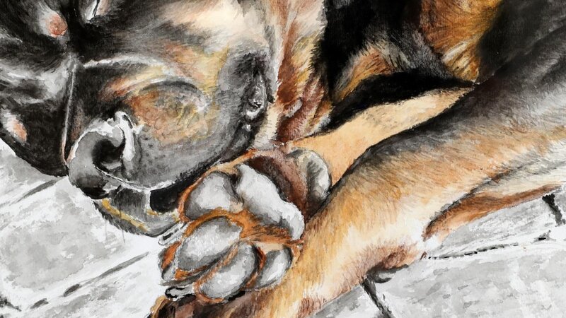 5th Annual Exhibit Let the Sleeping Dog Lie