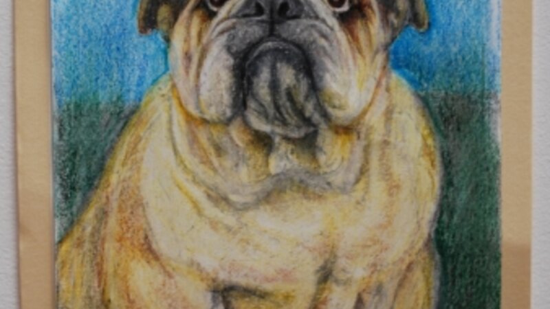 5th Exhibit Dog