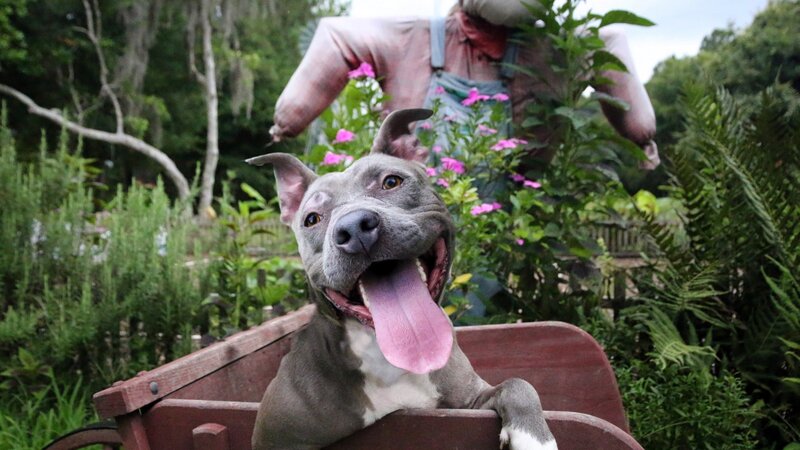 10th Annual Exhibit Barnice