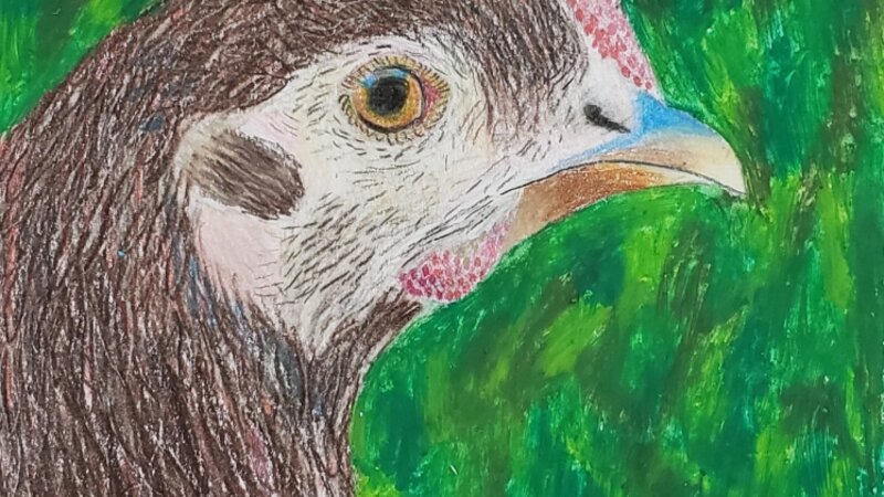 12th Annual Exhibit My Lil' Birdie