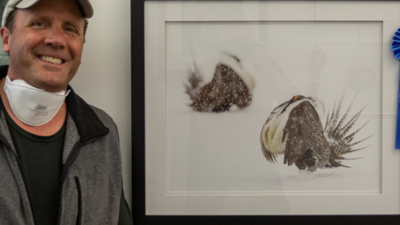 14th Annual Exhibit Sage Grouse