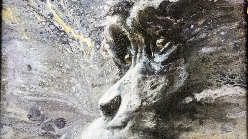 15th Annual Exhibit Vanishing