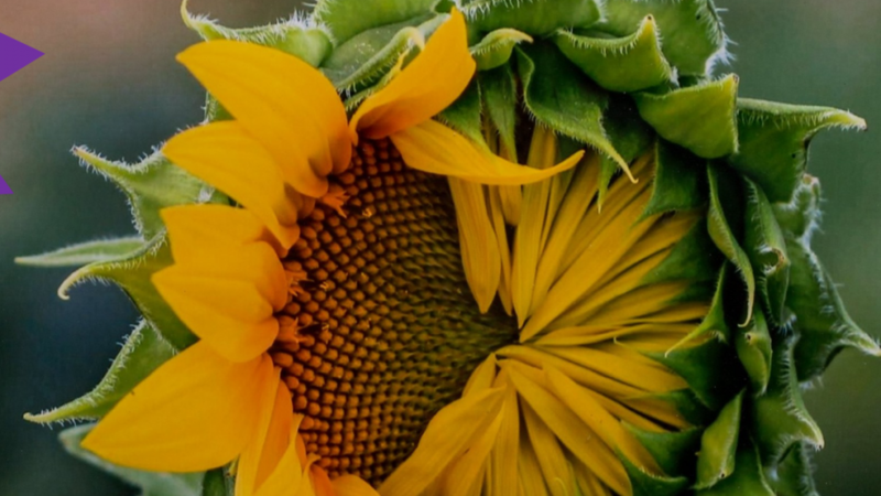 7th Annual Exhibit My Daily Personality