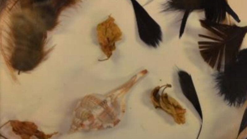 10th Annual Exhibit Organic Portrait