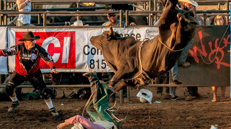 12th Annual Exhibit Bull Riding Cowboy