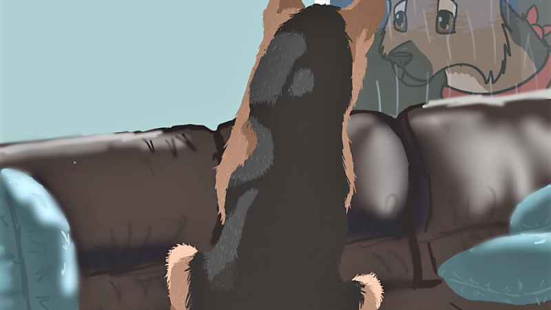 19th Annual Exhibit Peculiar Reflection