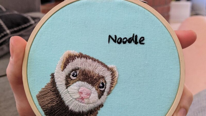 11th Annual Exhibit Pets of Quarantine