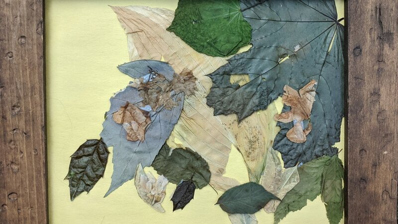 20th Annual Exhibit Fall