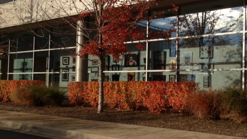 2nd Annual Exhibit A sneak peak at this year's NAP exhibit at Adventist Midwest Health.