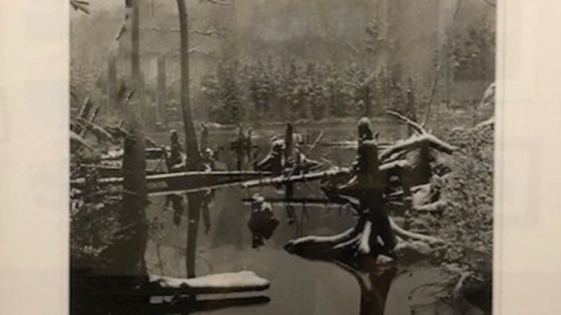 14th Annual Exhibit Three Ponds