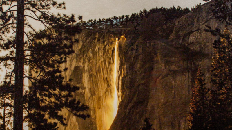 7th Annual Exhibit Firewall