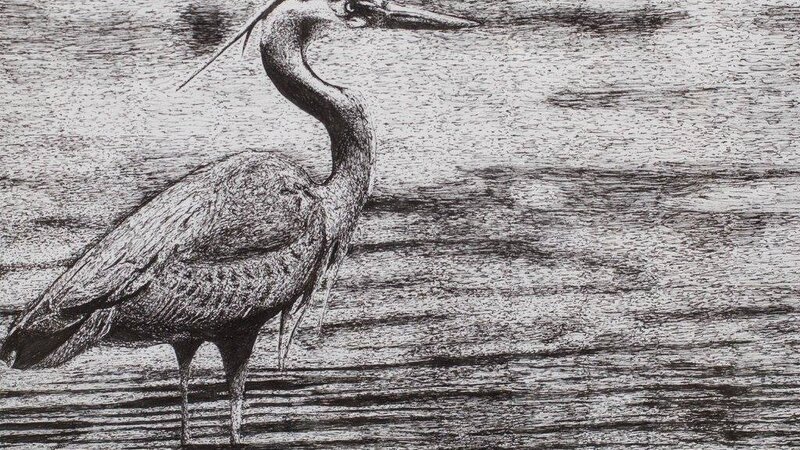 1st Annual Exhibit Great Blue Heron