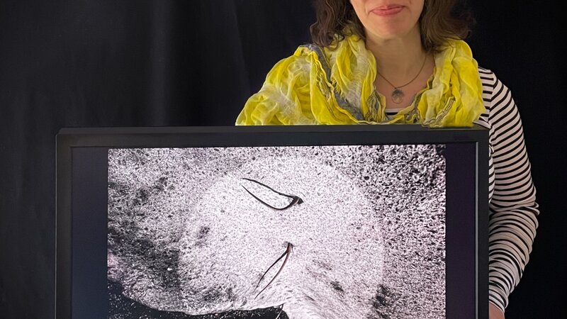 18th Annual Exhibit Discovery