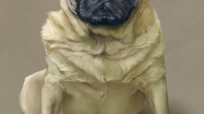 11th Annual Exhibit Meatball