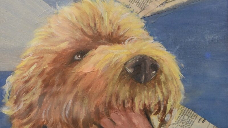 16th Annual Exhibit Tucker