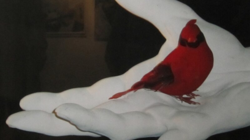 6th Annual Exhibit Bird in Hand