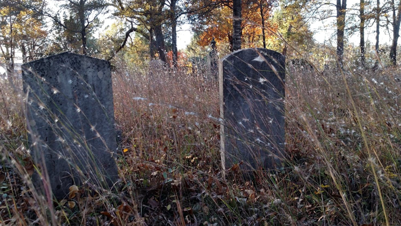 19th Annual Exhibit Shadows of the Forgotten