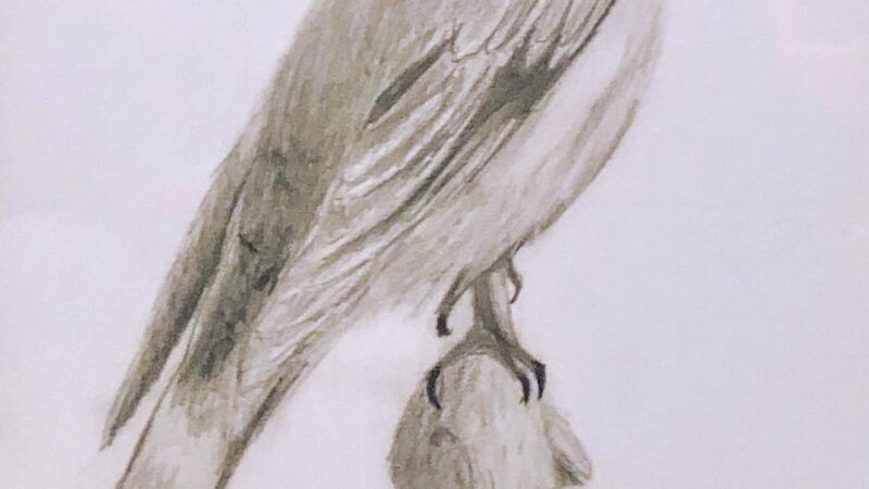 29th Annual Exhibit Thresh