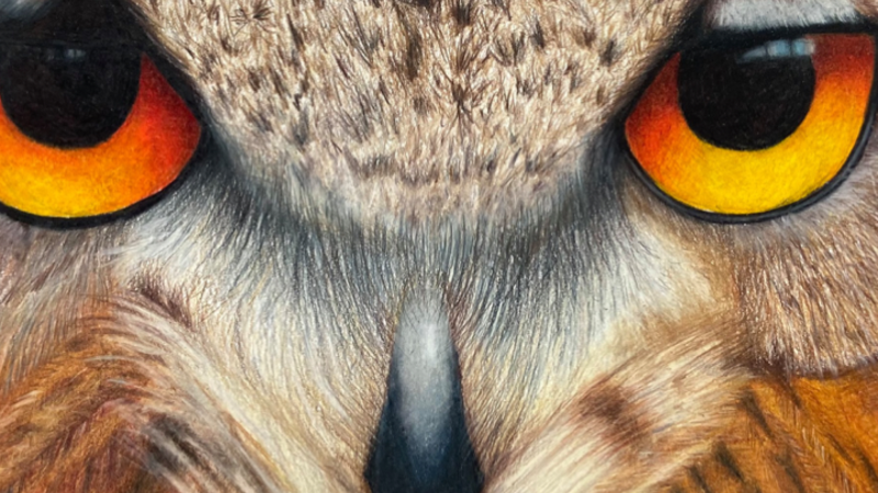 8th Annual Exhibit Why do I feel like somebody's watching me?