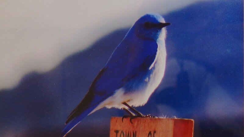 11th Annual Exhibit Do Not Disturb