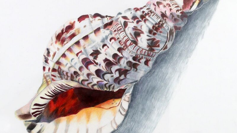 5th Annual Exhibit The Speaker of Seas