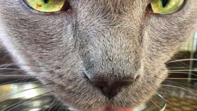 10th Annual Exhibit Untitled