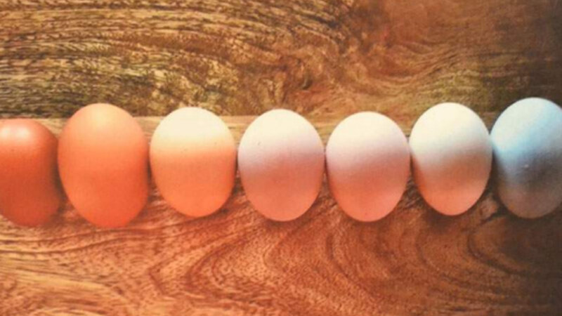 12th Annual Exhibit We Are All the Same on the Inside